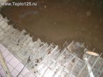 Просмотр фото... Квартира гостинка 1 эт. комната из кухни. 15